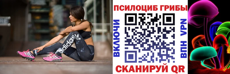 Галлюциногенные грибы Psilocybine cubensis  закладки  ОМГ ОМГ ССЫЛКА  Невьянск 